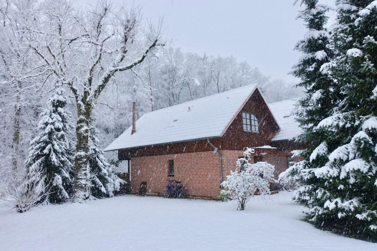 Haus Am Wald Klingberg Apartment Exterior photo